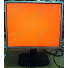 Монитор 19" TFT HP 1955 (DVI в Балашихе, USB-хаб) "квадратный" (Балашиха)