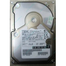 Жесткий диск 18.2Gb IBM Ultrastar DDYS-T18350 Ultra3 SCSI (Балашиха)