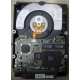 Жесткий диск 18.2Gb IBM Ultrastar DDYS-T18350 Ultra3 SCSI (Балашиха)