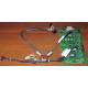 Корзина 59P5159 24P2578 IBM X225 / X226 / X235 / X255 / X266 xSeries servers FRU59P5159 FRU24P2578 (Балашиха)