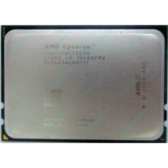AMD Opteron 6128 OS6128WKT8EGO (Балашиха)